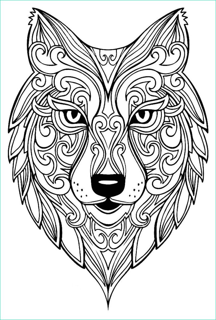 coloriage lion a imprimer gratuit 2