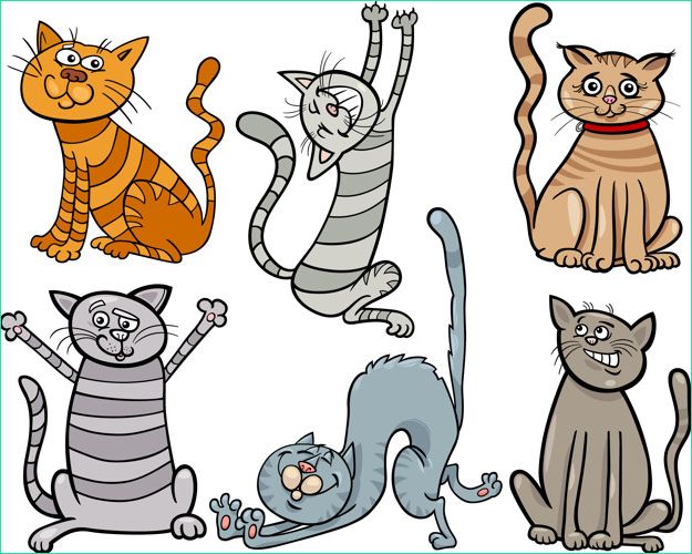 chats rigolos mis illustration dessin anime