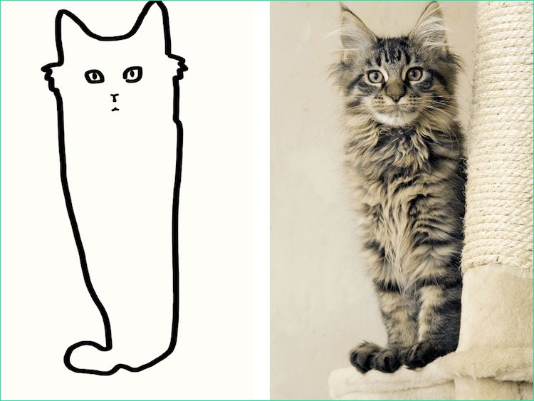 16 dessins minimalistes de chats a la fois rigolos et pertinents