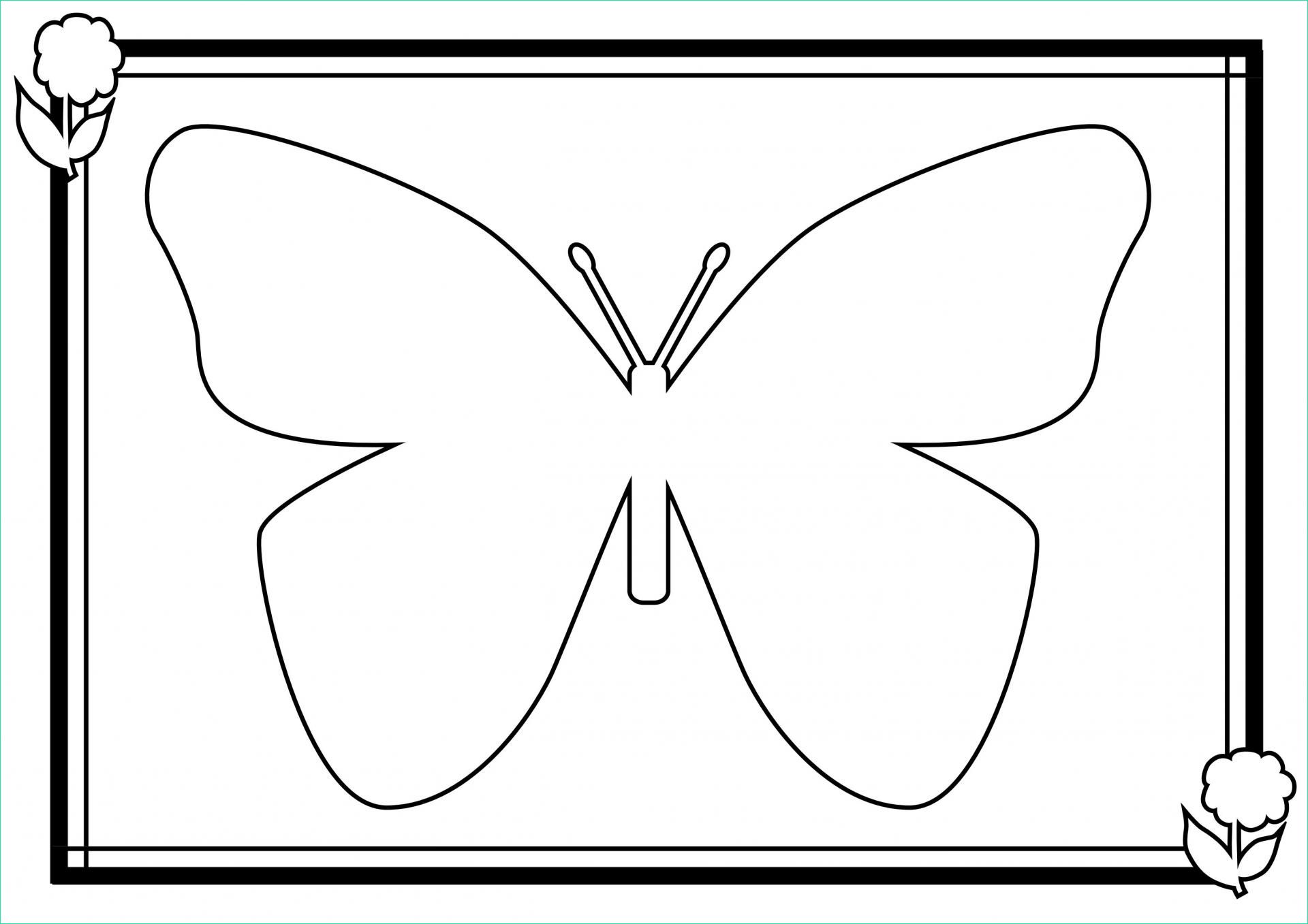 coloriage de papillon a imprimer gratuit