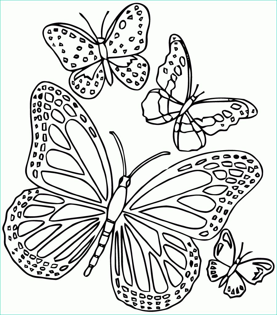 dessin a imprimer papillon gratuit