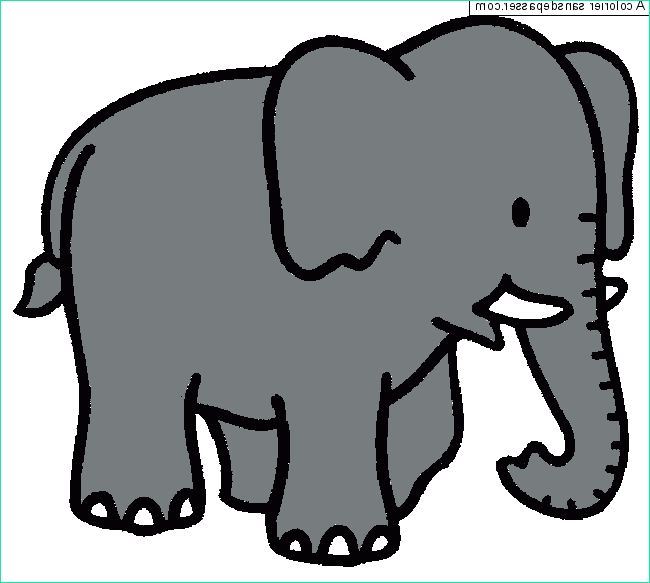 dessin elephant