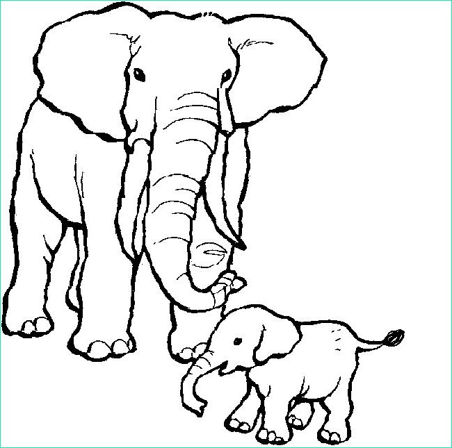 dessin elephant indou