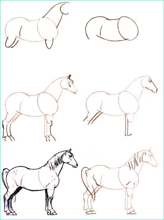 ment dessiner cheval