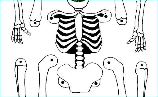 halloween dessin squelette beau galerie dibujos de esqueletos 【 tutorial】 dibujar un esqueleto