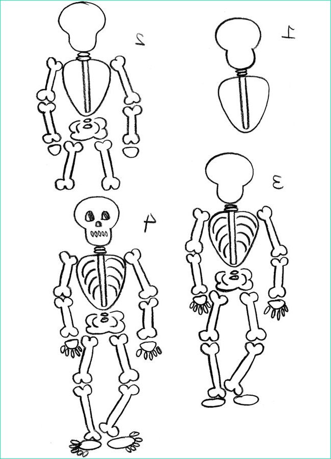 idees tendances dessin squelette