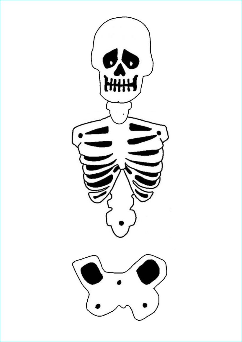 le squelette articule d halloween