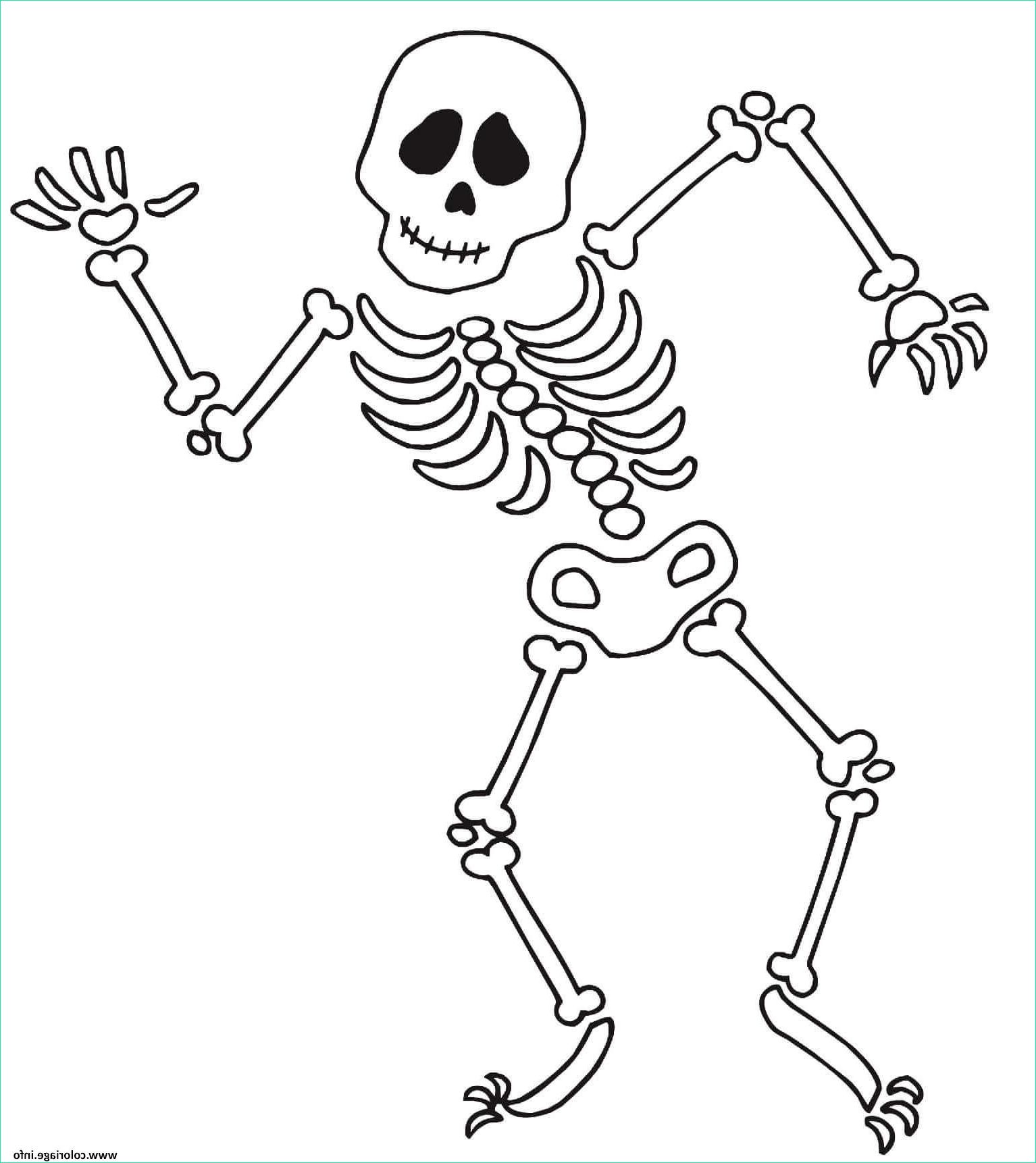 squelette dansant a halloween coloriage dessin