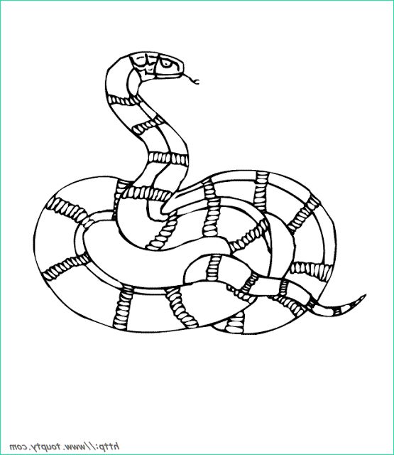 dessin de serpent imprimer