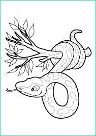dessin de serpent imprimer