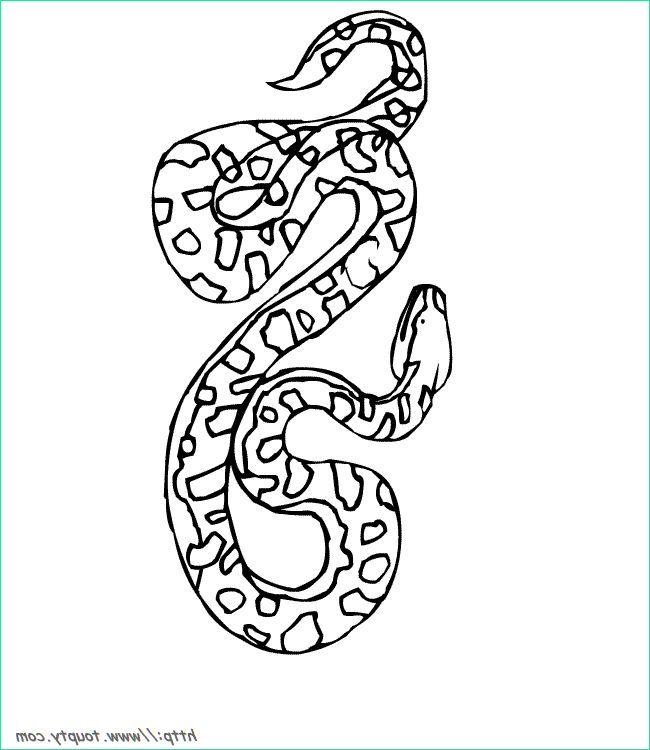 96 inspirant de serpent anaconda