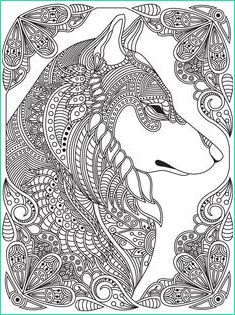 15 simple coloriage adulte loup images