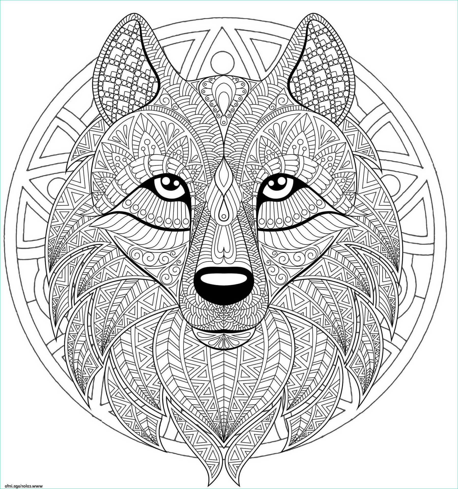 mandala loup difficile plexe beau loup coloriage dessin