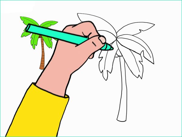 apprendre a dessiner un palmier en 3 etapes