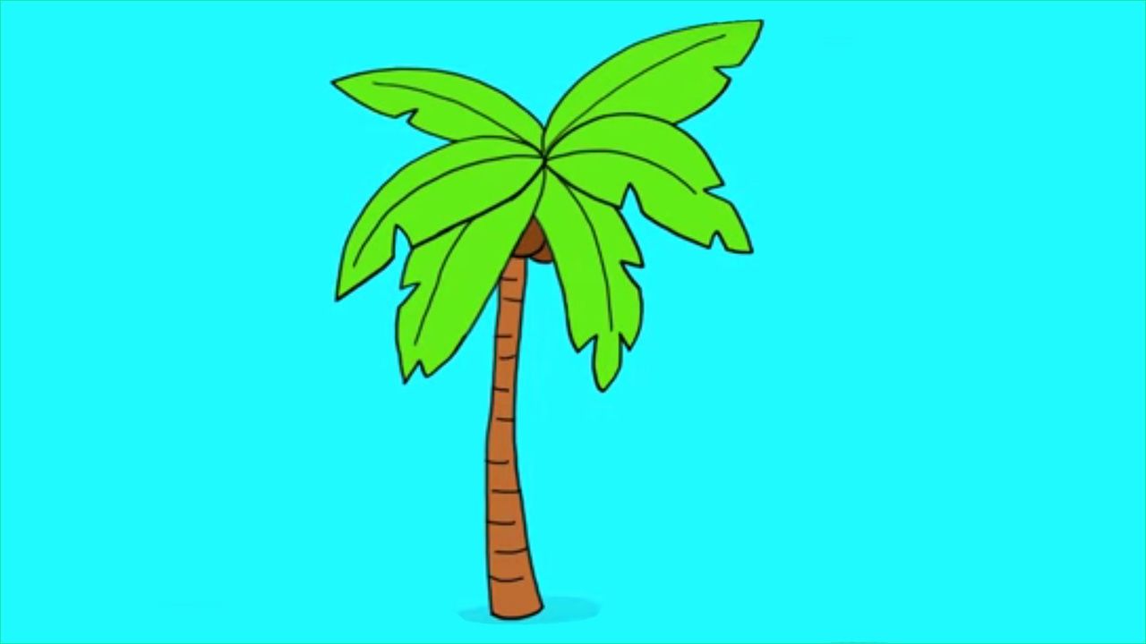 dessins a dessiner impressionnant photos apprendre a dessiner un palmier