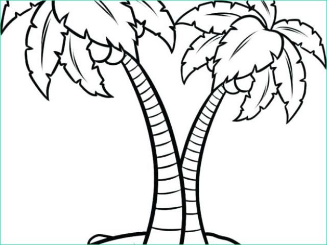 Palmier Dessin Facile Inspirant Photos Coloriage Palmier Facile Index Coloriages 417 G Coloriage