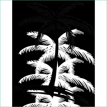 dessin de palmier 2