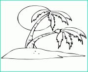 palmier facile coloriage dessin