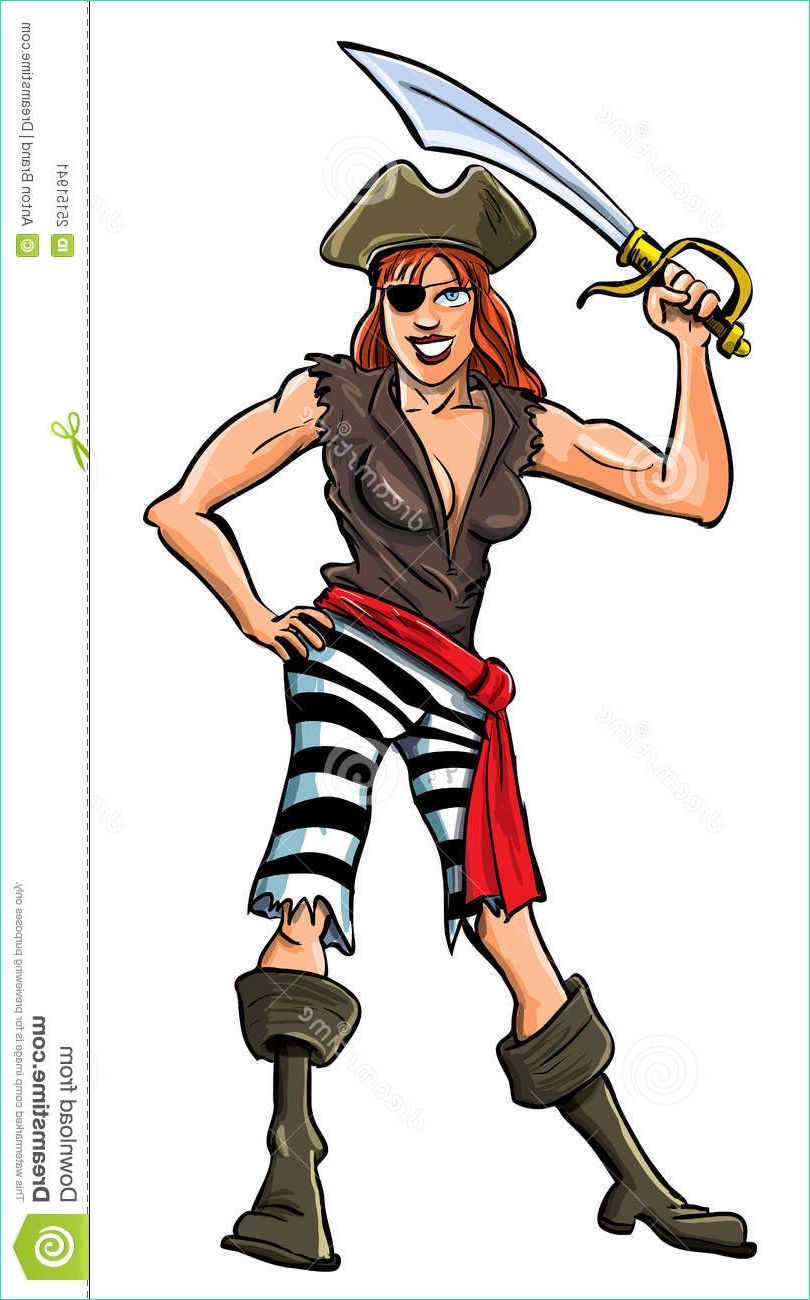 image stock illustration de dessin animé de pirate de dame image