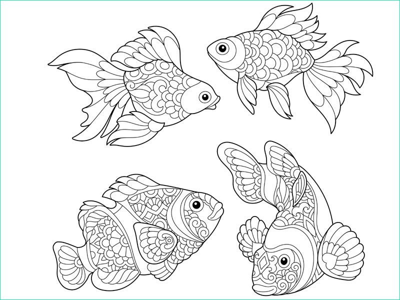 coloriage les poissons mandalas