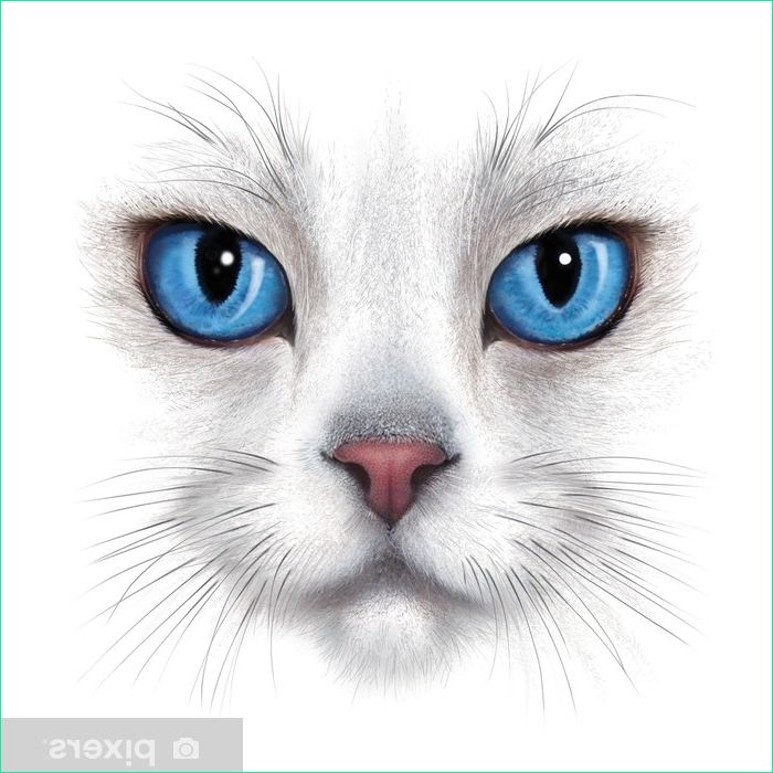 portrait de dessin a la main de chat blanc