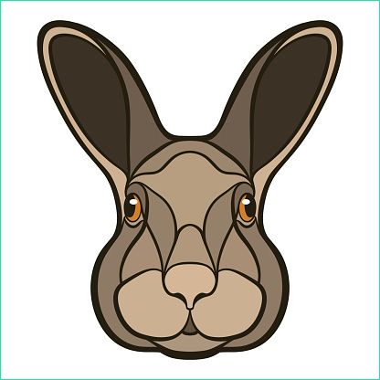 tête de vecteur de dessin de lapin lièvre gm