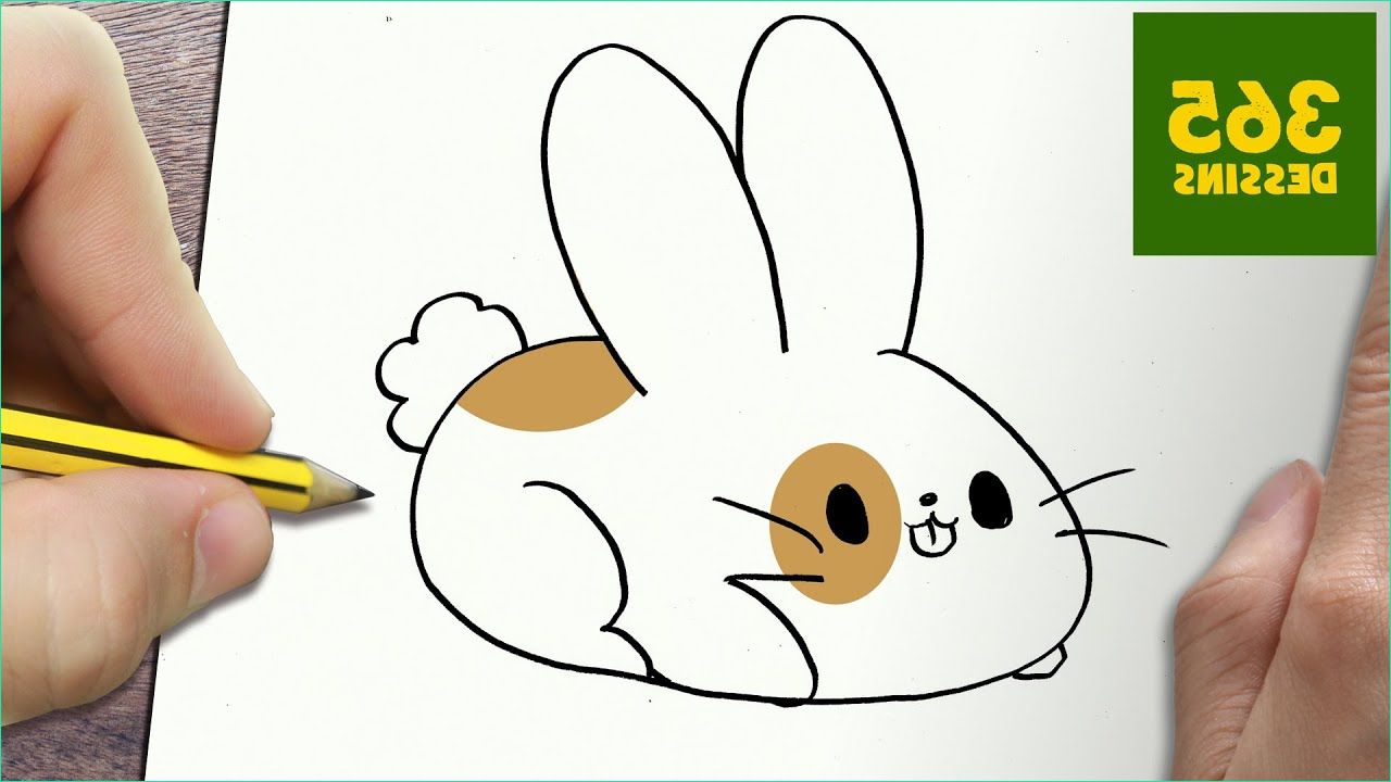 dessin facile de lapin