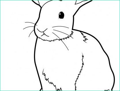 tete de lapin dessin beau image 131 dessins de coloriage lapin a imprimer