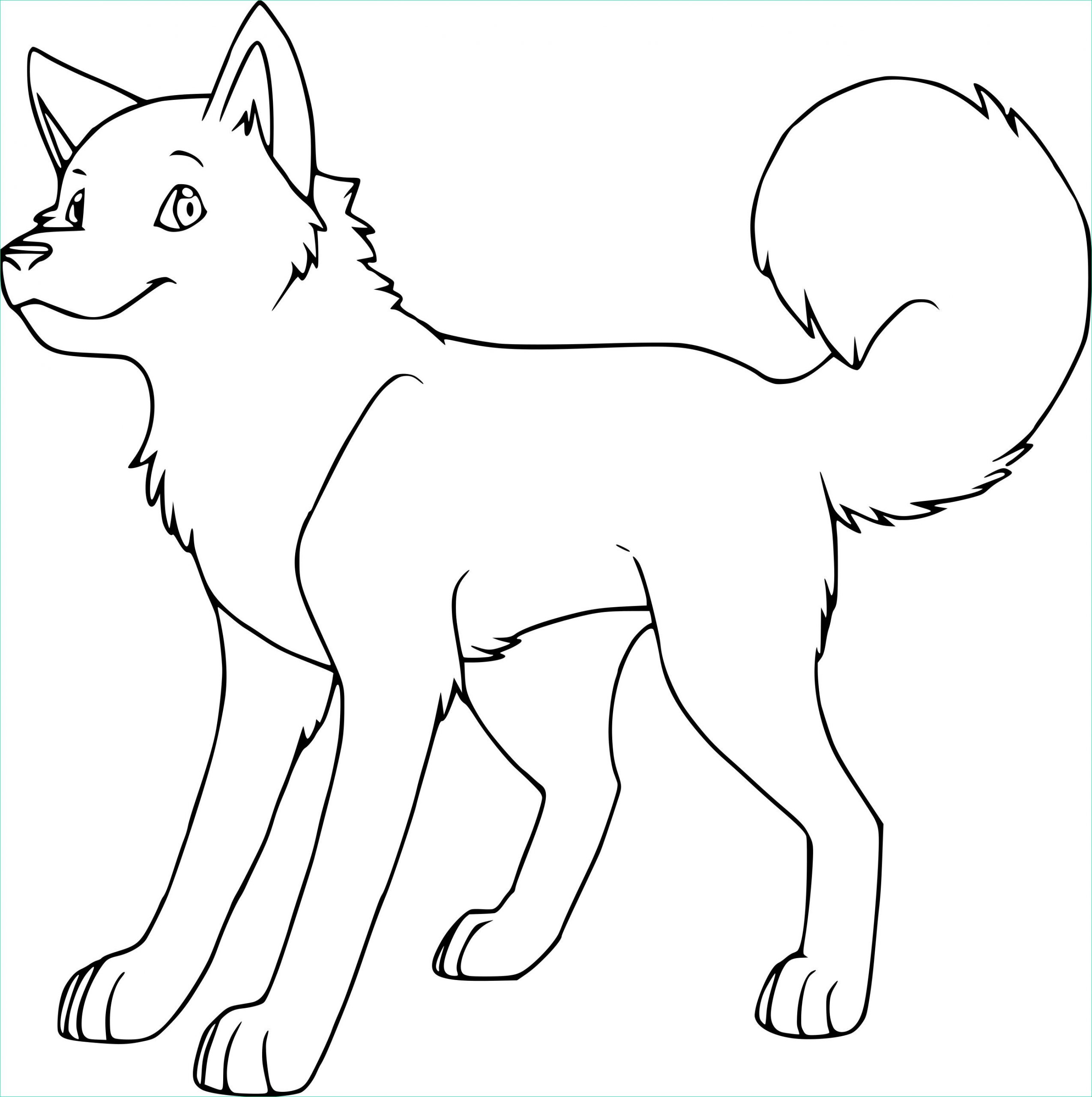 coloriage chien husky