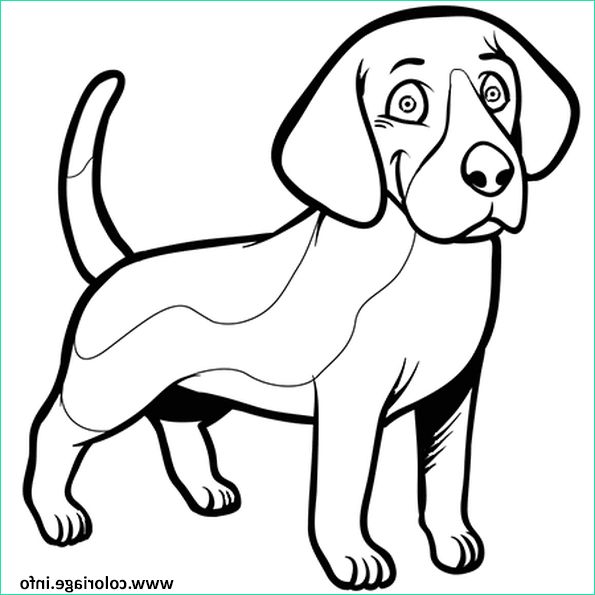 Chien à Imprimer Bestof Photos Coloriage Chien Beagle souriant Dessin