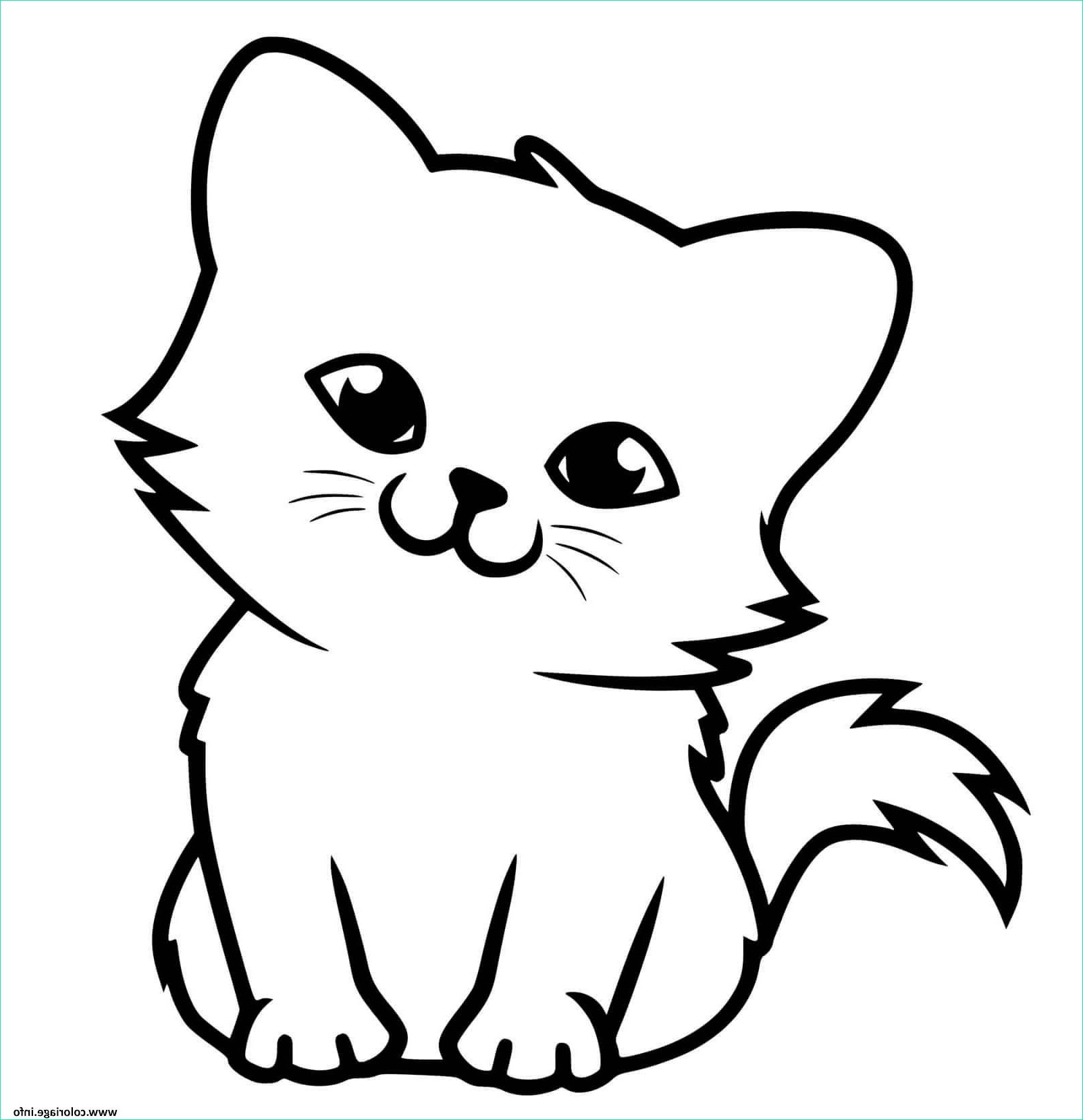 adorable petit chaton coloriage