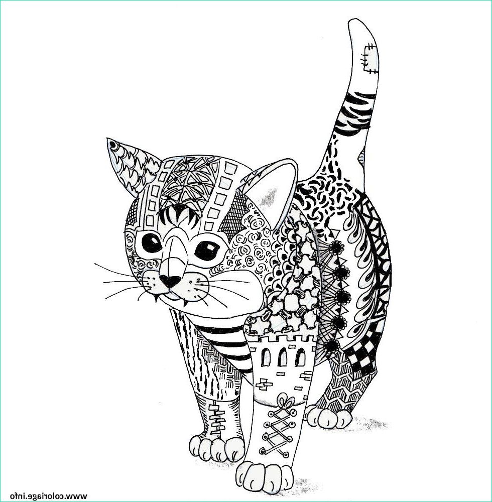 12 adorable chaton coloriage pictures