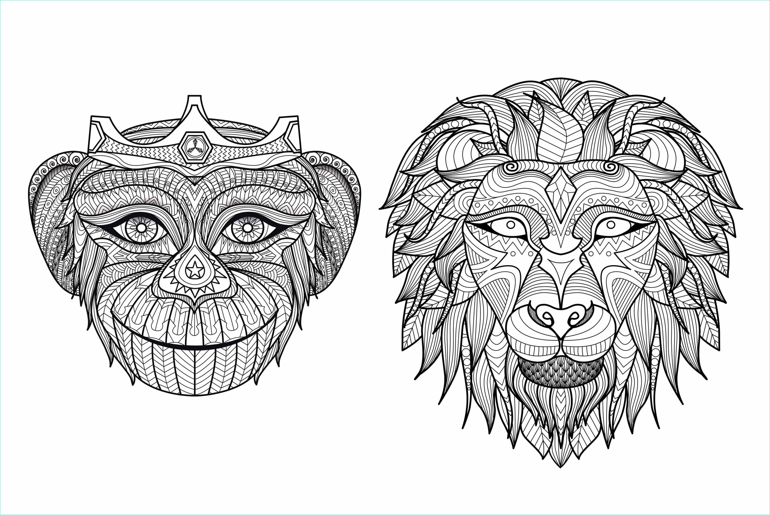 image=afrique coloriage adulte afrique tetes singe lion 1