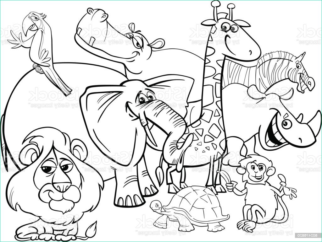 dessin animé safari animaux coloriage gm
