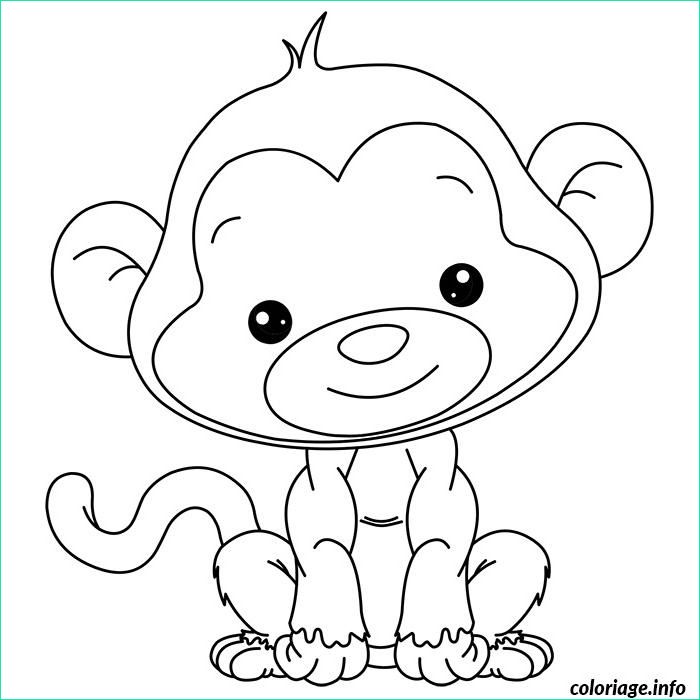 dessin damp039animaux trop mignon a imprimer nouveau images coloriage de bebe singe tout mignon dessin