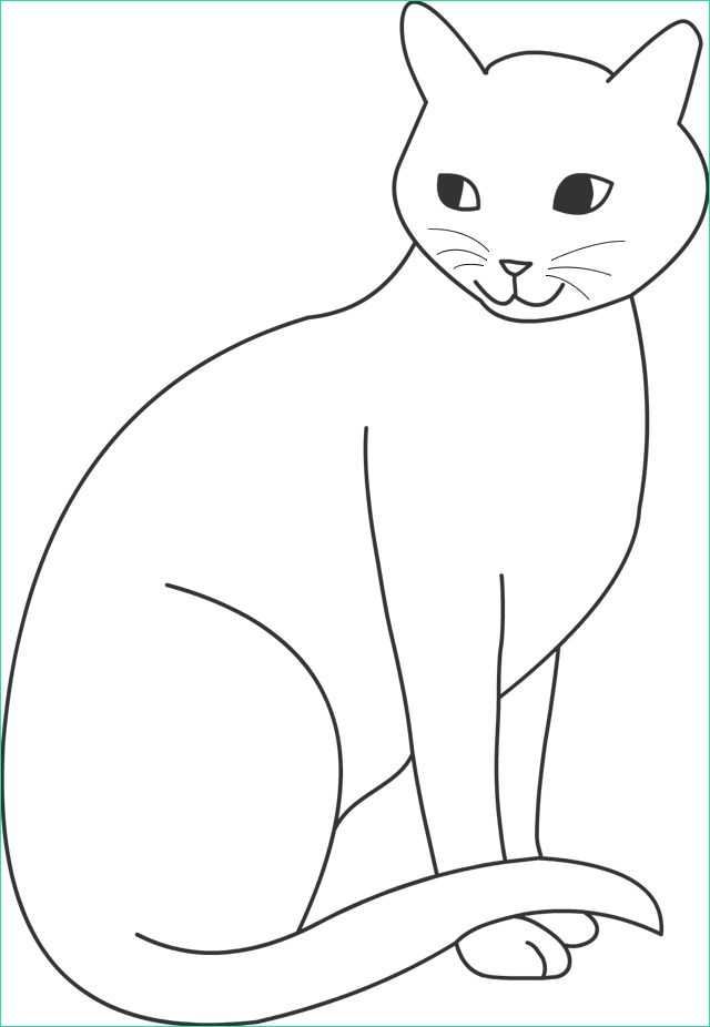 chats en dessin