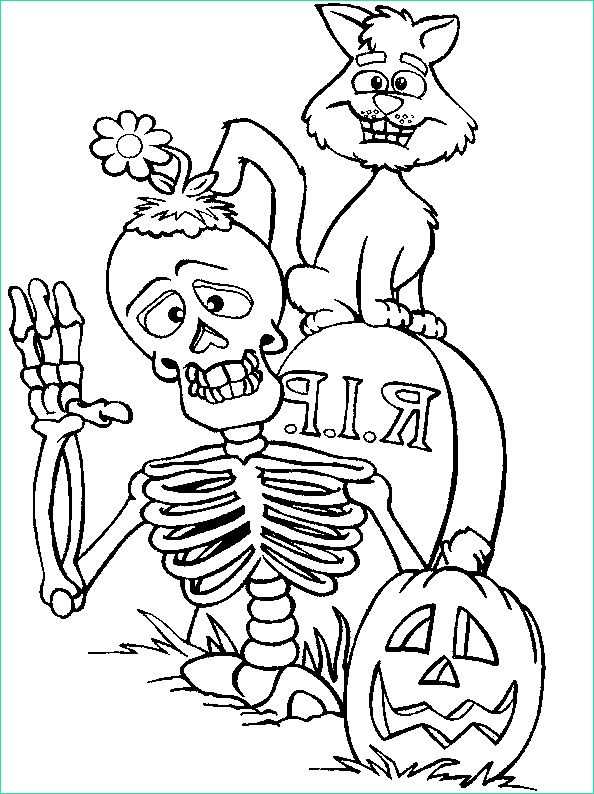 coloriages halloween citrouille sorciere squelette