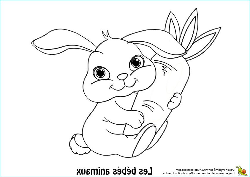 coloriage de lapin mignon a imprimer 【top 50 】 coloriage de lapin trop mignon a imprimer
