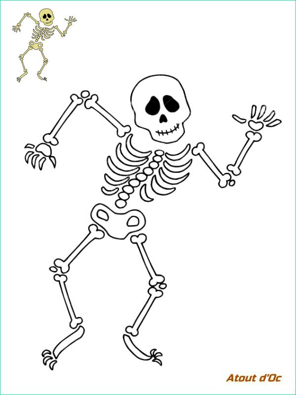 12 nouveau de coloriage squelette image