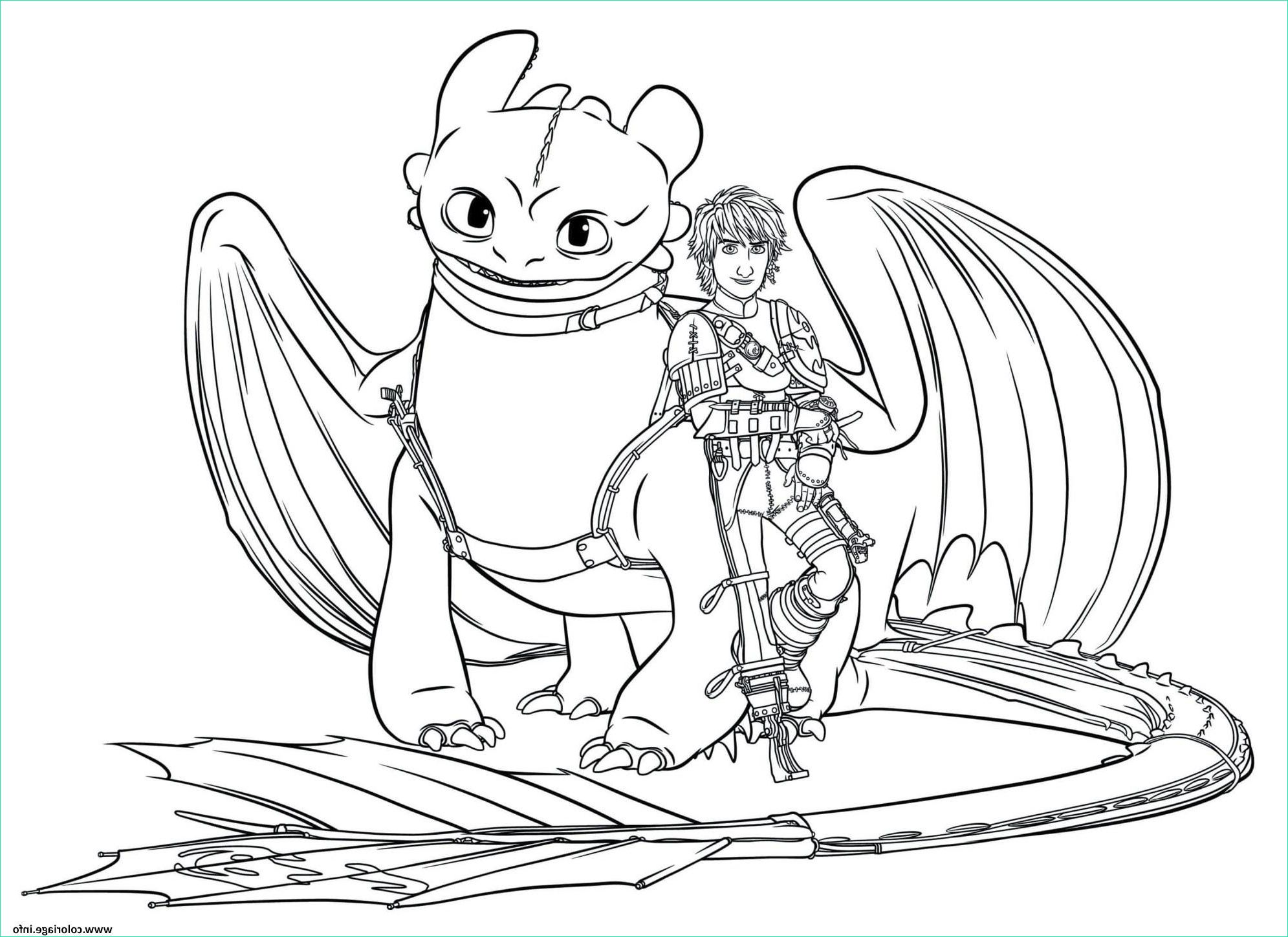 hiccup toothless dragon 3 coloriage dessin