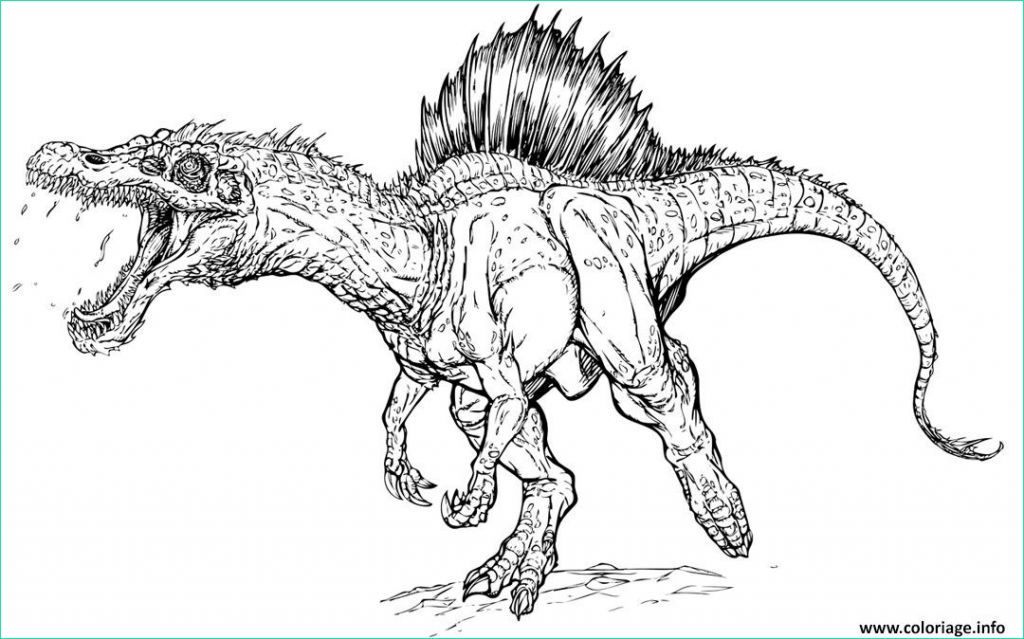 image dinosaure dessin beau collection coloriage dinosaure mechant jurassic park 4 dessin