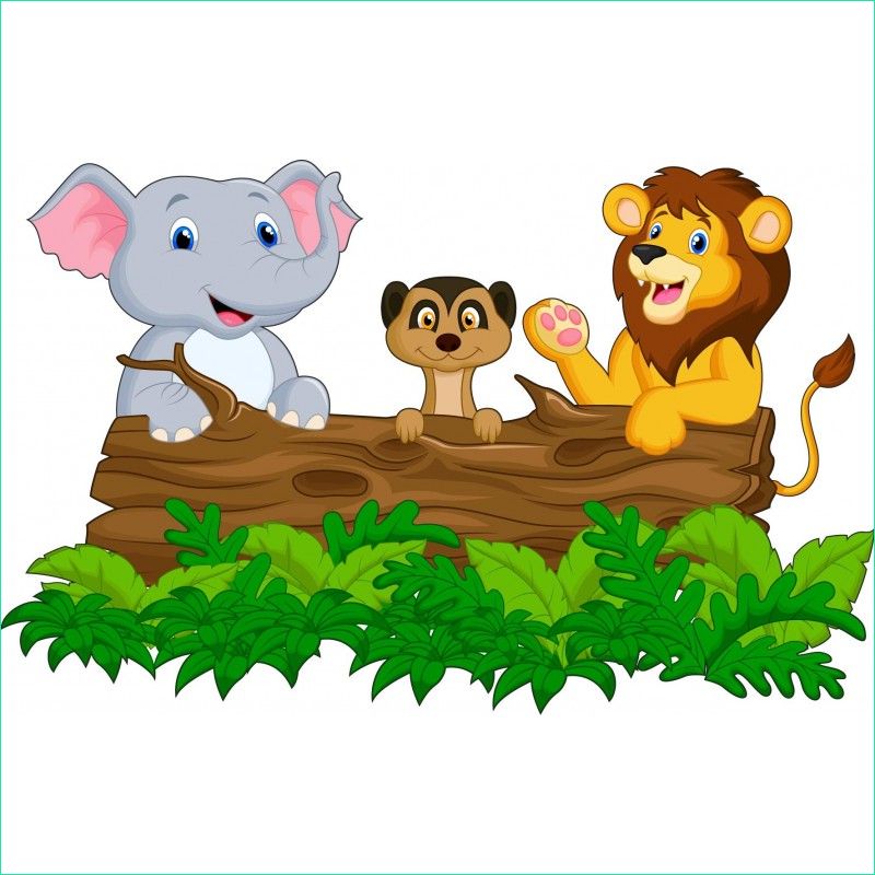 stickers enfant animaux jungle savane