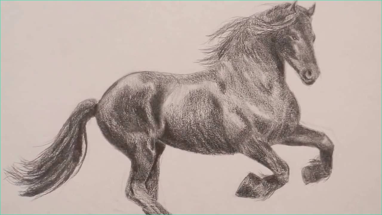 dessin cheval realiste