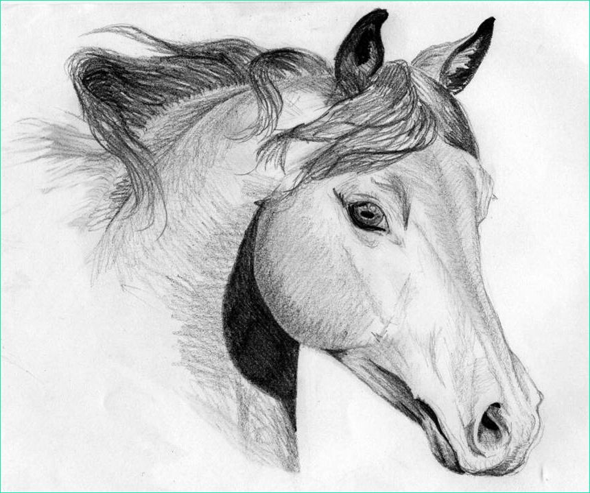 apprendre a dessiner un cheval