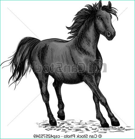 cheval noir courses galop