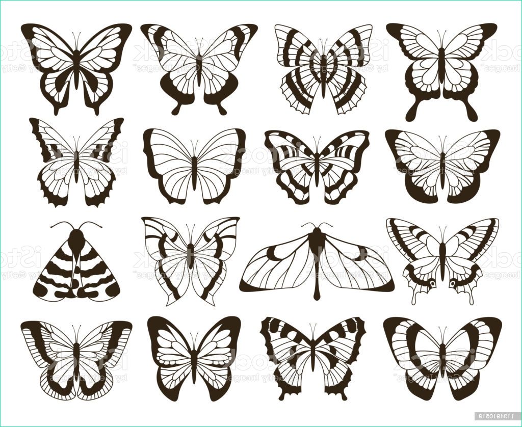 papillons monochrome dessin noir et blanc à la main dessiné tatouage formes gm