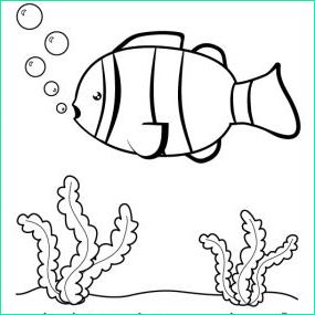 apprendre a dessiner un poisson en 3 etapes