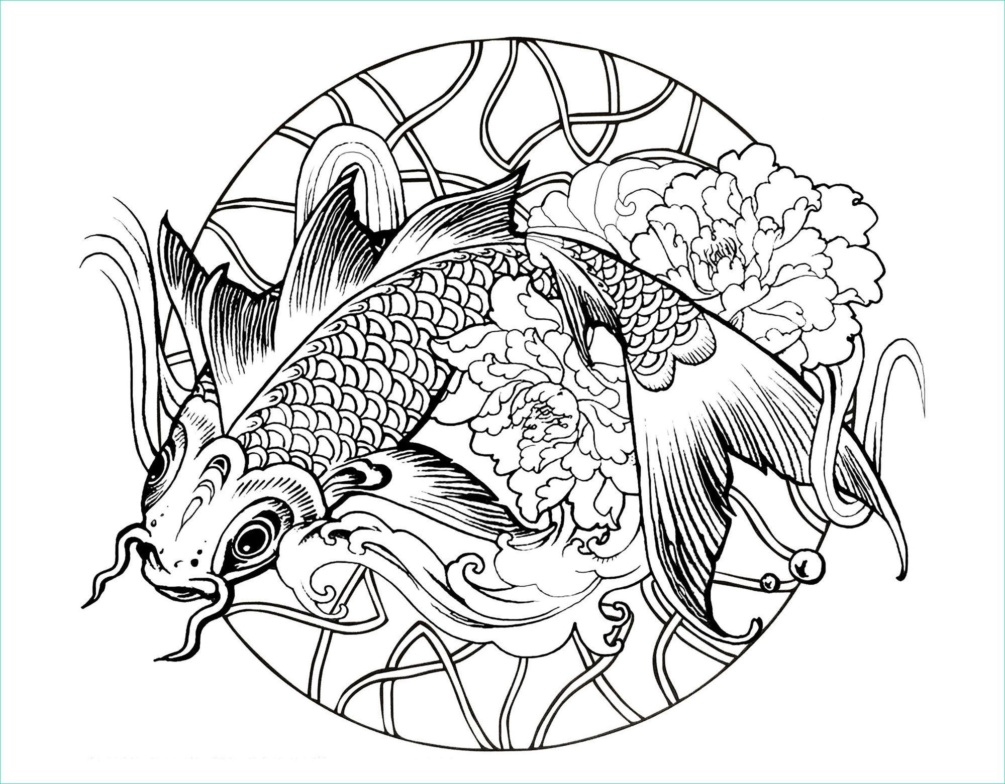 image=poissons coloriage poisson carpe 1
