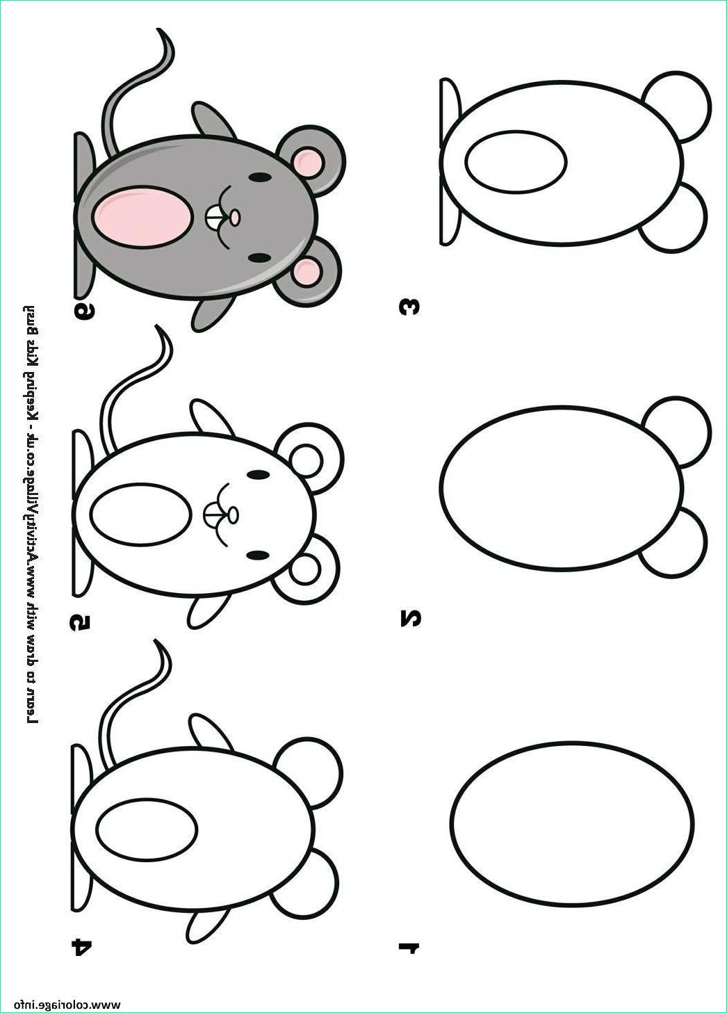 ment dessiner une souris etape par etape coloriage dessin
