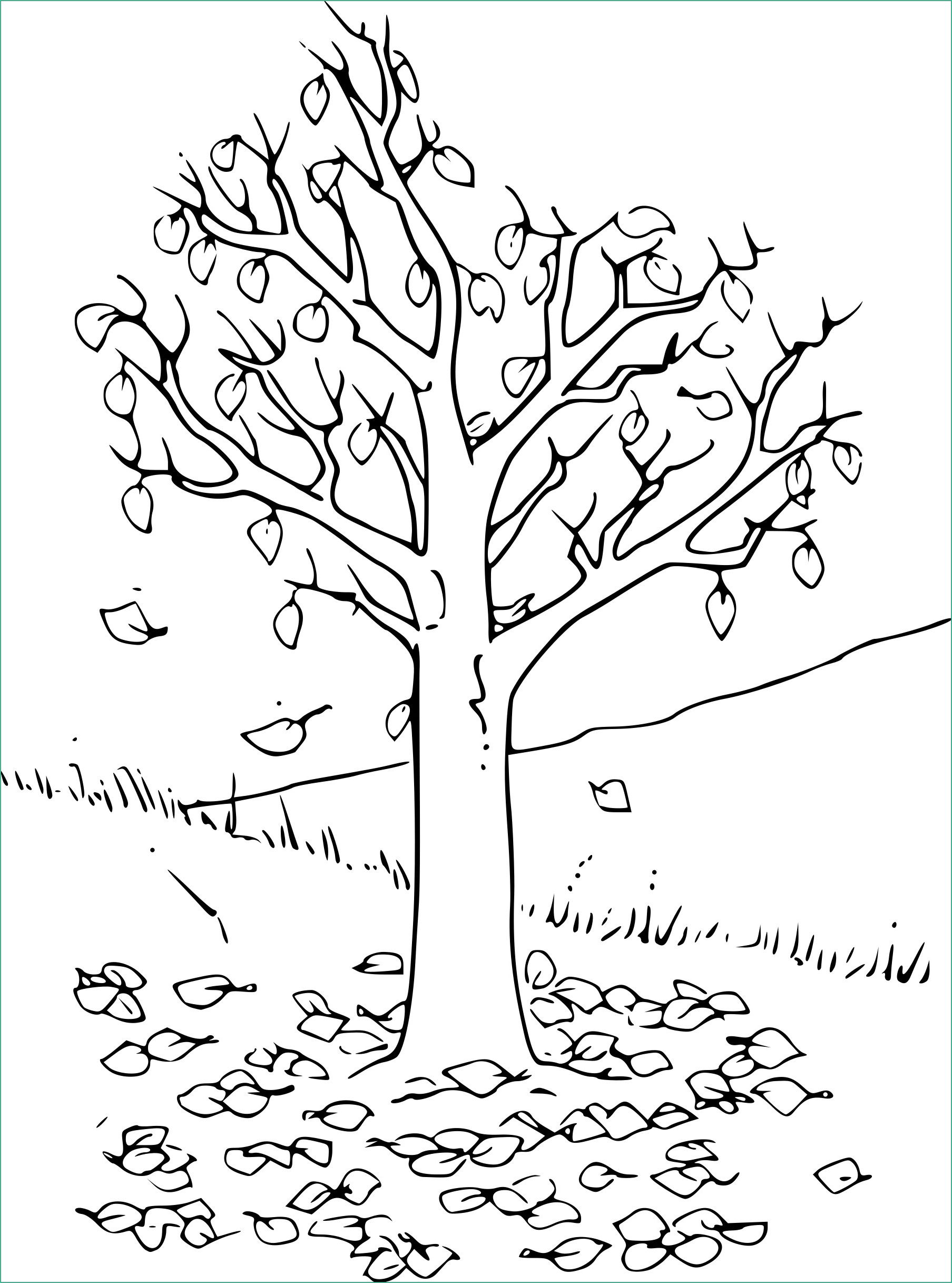 dessin de feuille d arbre a imprimer